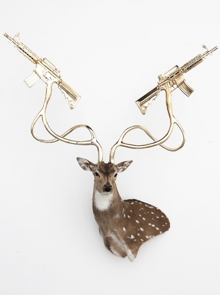 Peter Gronquist : Untitled (Axis Deer)