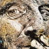 C215