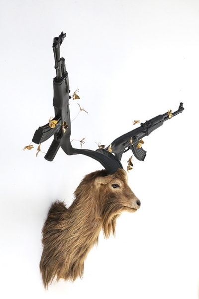 Peter Gronquist : Untitled (Himalayan Tahr)