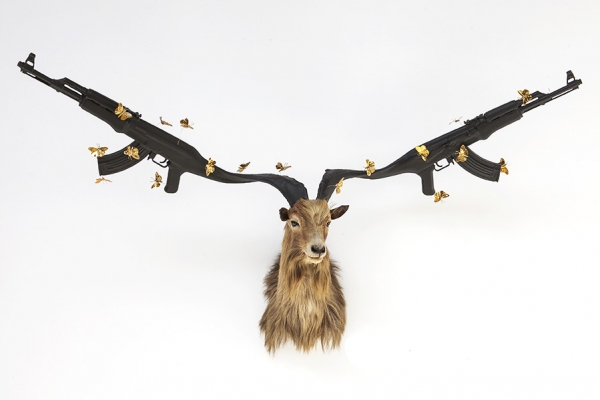 Peter Gronquist : Untitled (Himalayan Tahr)