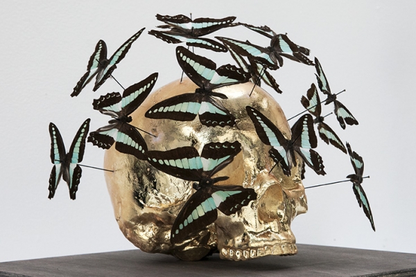 Peter Gronquist : Untitled (Gold Skull 1) 