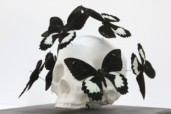 Peter Gronquist : Untitled (White Skull 1) 