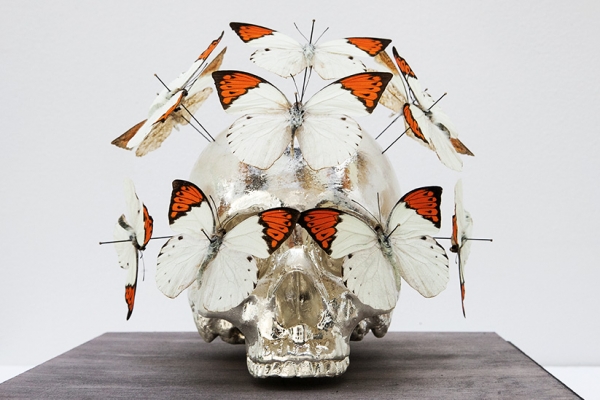 Peter Gronquist : Untitled (Silver Skull) 