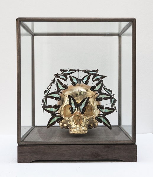 Peter Gronquist : Untitled (Gold Skull 1)